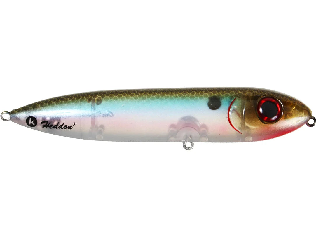 Heddon One Knocker Spook
